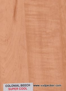 Colonial Beech-Super Cool